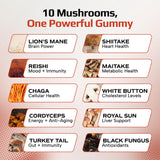 Gummies champignons Reishi Effective Nutra, équilibre du stress et immunité potentielle.