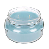 Bougie Elanze Designs Limelight 3.4oz etiquette – parfum mandarine et citron vert