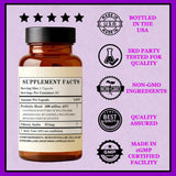 Electric Elixir GLP-1 Quotidien Probiotique pack compact favorisant une prise discrète et régulière.