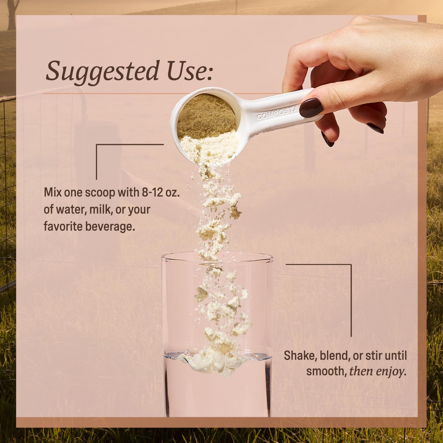 Protéine lactosérum Elevate Organic, lait nourri à l’herbe et qualité biologique.