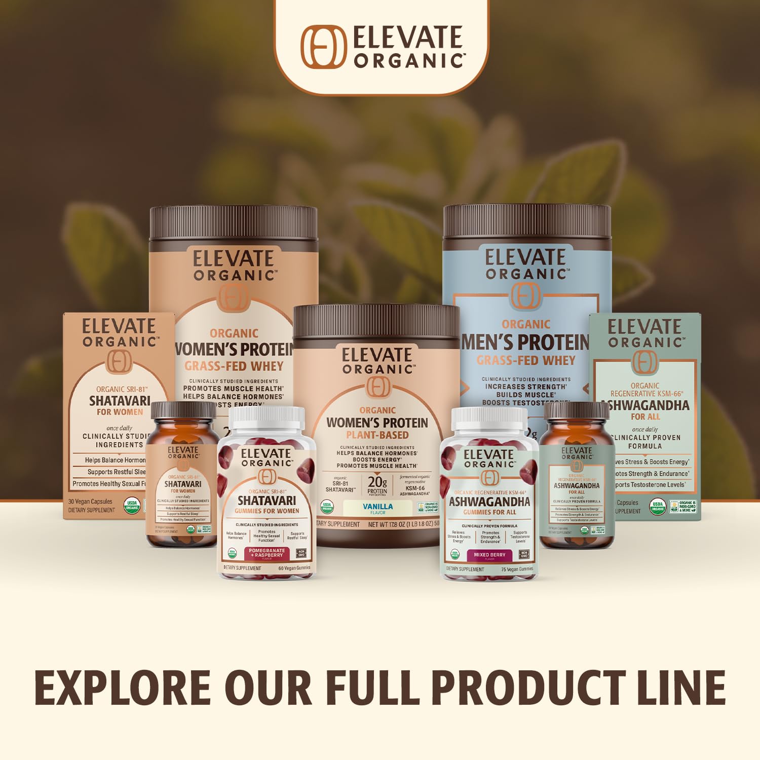 Routine quotidienne Elevate Organic Chocolat : shake rapide et goût agréable