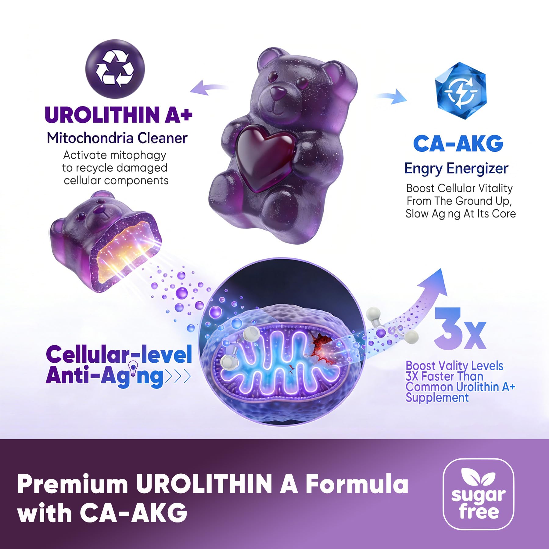 ELLAMENTZ Acerola vitamine C, fruits riches en vitamine C