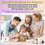 ELLAMENTZ gommes oméga-3 véganes, extrait d’algues riche en oméga pour le cerveau.