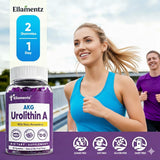 ELLAMENTZ Emballage élégant, présentation premium du produit