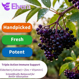 ELSORY Elvera – flacon mentionnant zinc et vitamine C pour le soutien immunitaire.