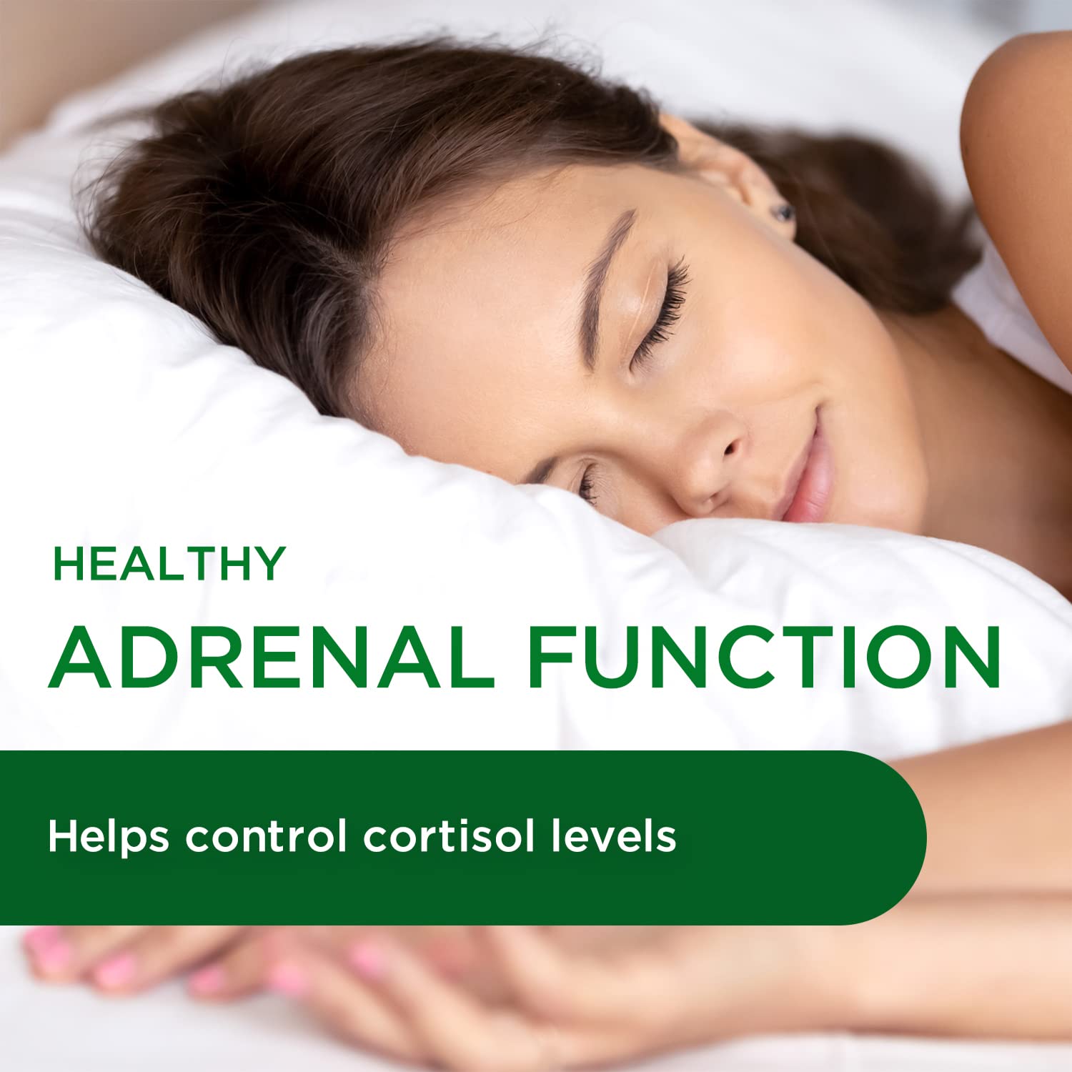 Ashwagandha Sensoril et Rhodiola, ingrédients clés pour le stress.
