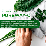 EMERALD LABS Complete Premium Multi — étiquette claire, PureWay-C et zinc pour absorption soutenue.