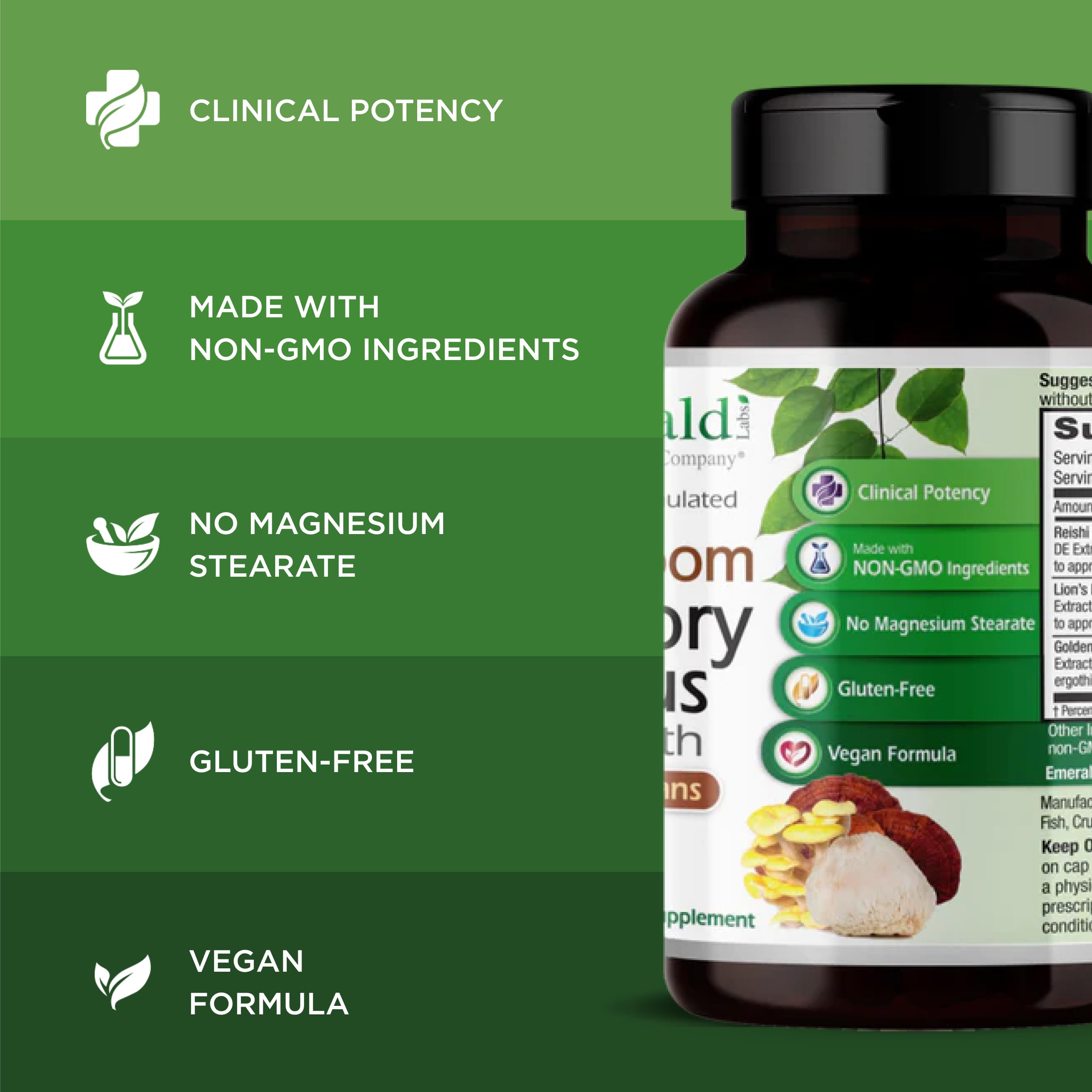 Emerald Labs Mushroom Memory & Focus Health, extrait dual eau chaude champignons