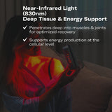 EMR-TEK FireFly: étui de voyage inclus pour accompagner vos déplacements.