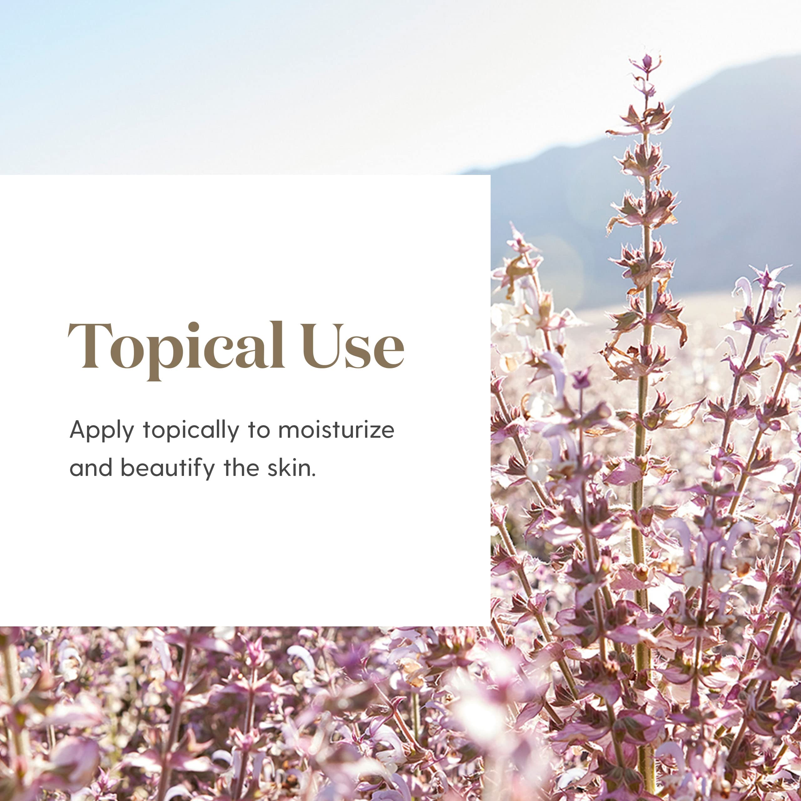 Endoflex – application cutanée diluée pour confort ciblé sur la peau.