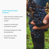 Endur MegaNatural-BP, extrait de raisin californien pour une utilisation pratique.
