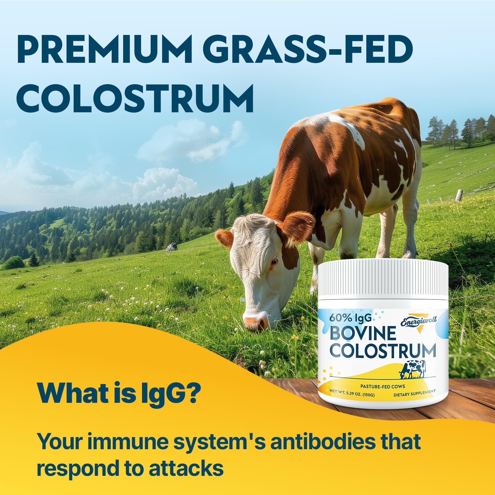 Energievoll Colostrum Poudre sans goût, parfait pour smoothies et boissons