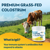 Energievoll Colostrum Poudre sans goût, parfait pour smoothies et boissons
