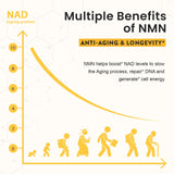 Enprotess pastilles sublinguales NMN 500mg - prise quotidienne facile et discrète