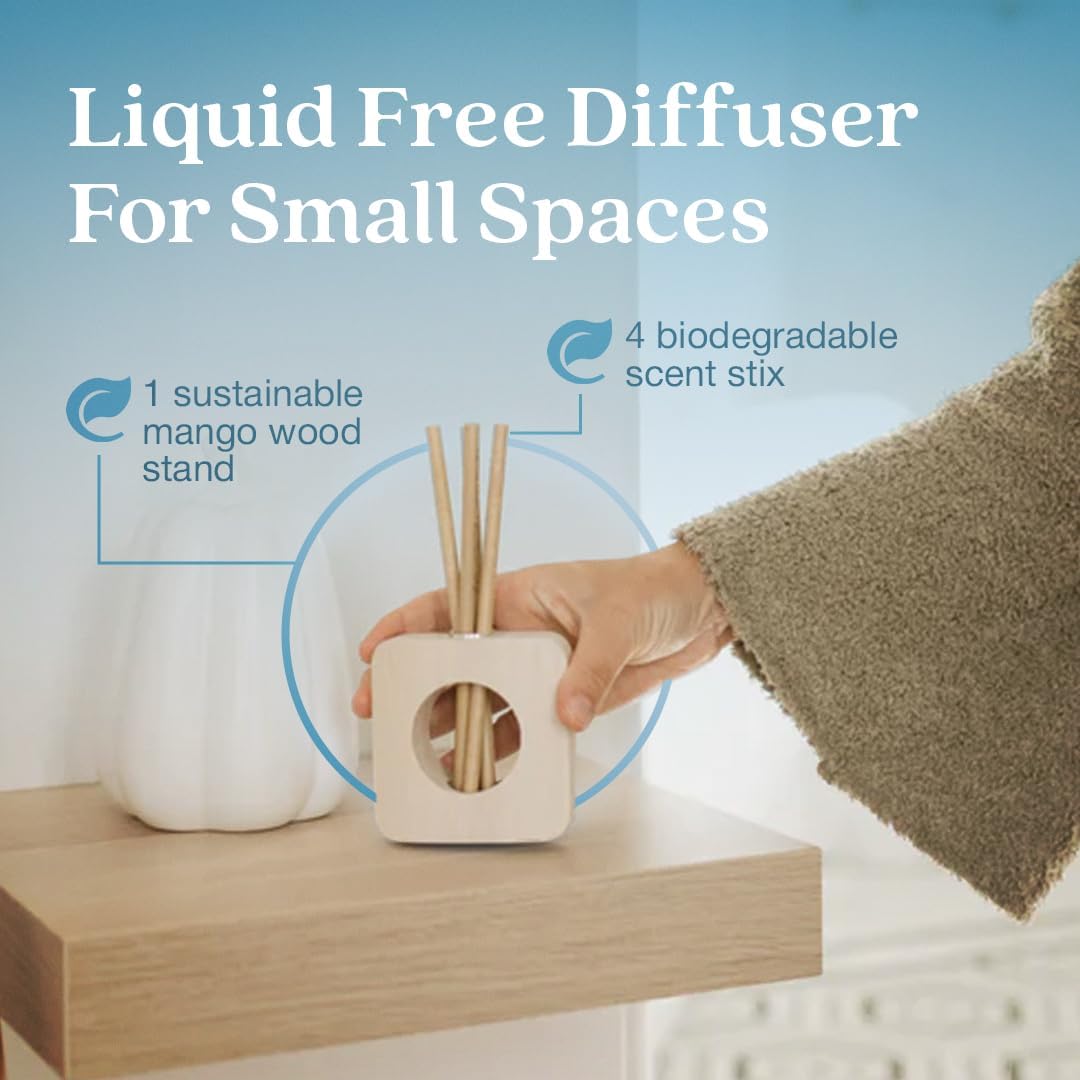 Utilisation quotidienne simple sans liquide pour votre intérieur Enviroscent