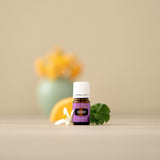 Vaporisation d Envision lors des rituels de concentration.