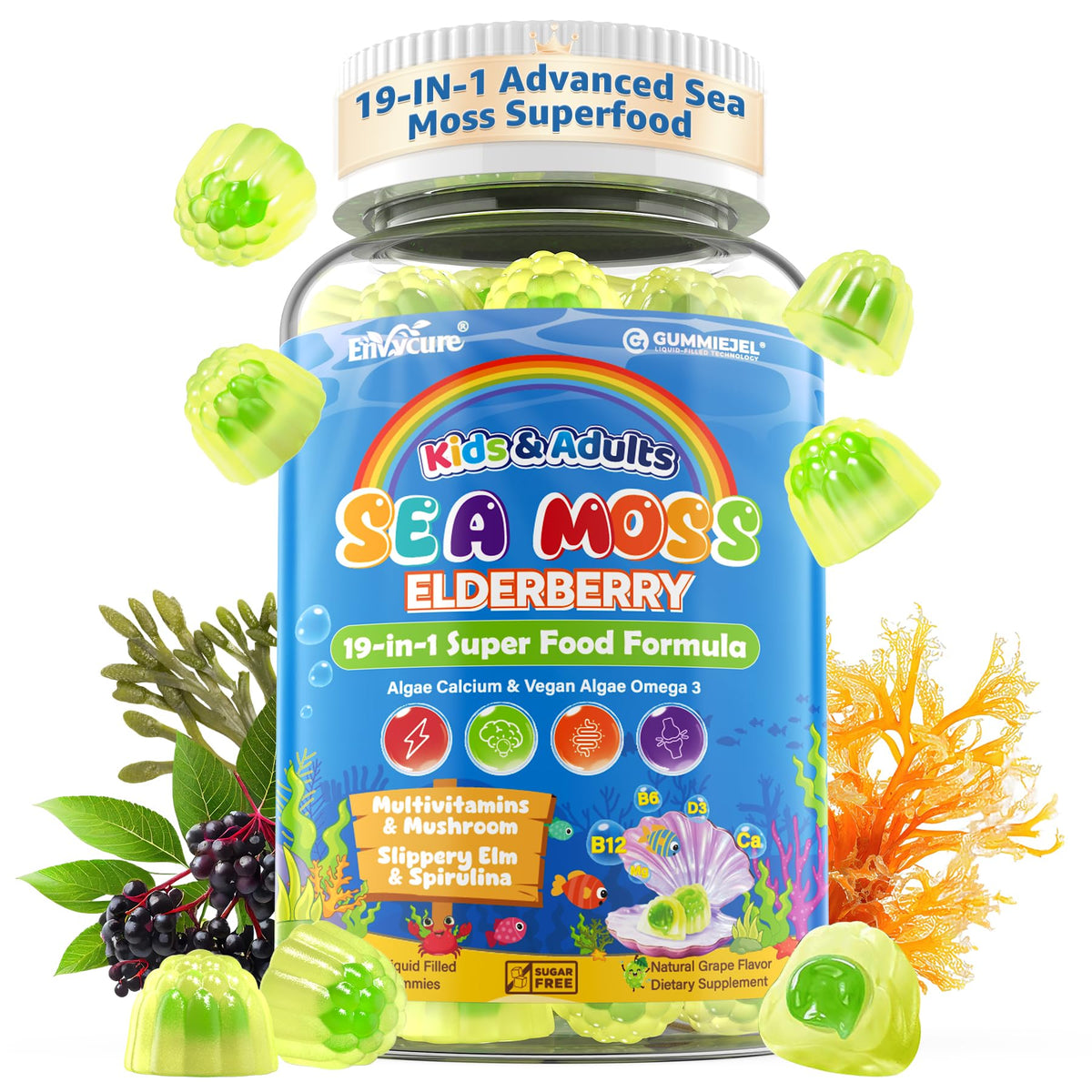 Gommes EnvyCure Algues Mousse de Mer et Sureau en bouteille, usage familial potentiel.