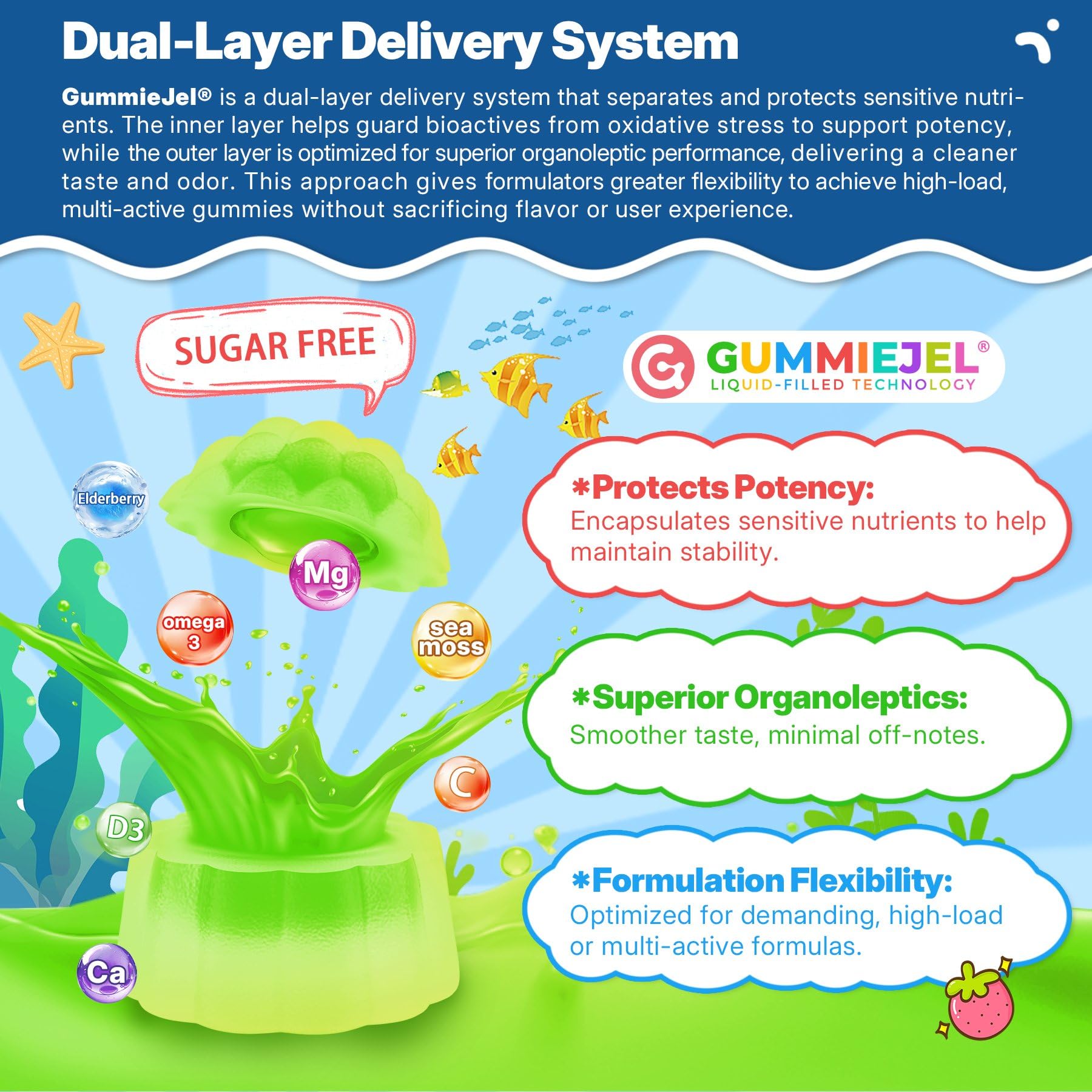 Gommes EnvyCure enrichies en DHA/EPA d’algues, vitamine D3 et C.