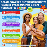 Ingrédients clés EnvyCure: algues mousse de mer, spiruline et fucus vésiculeux.
