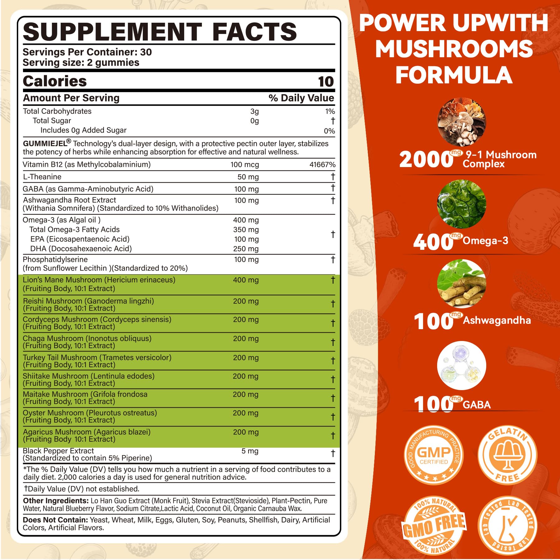 EnvyCure Gummies criniere-de-lion: soutien a la concentration.