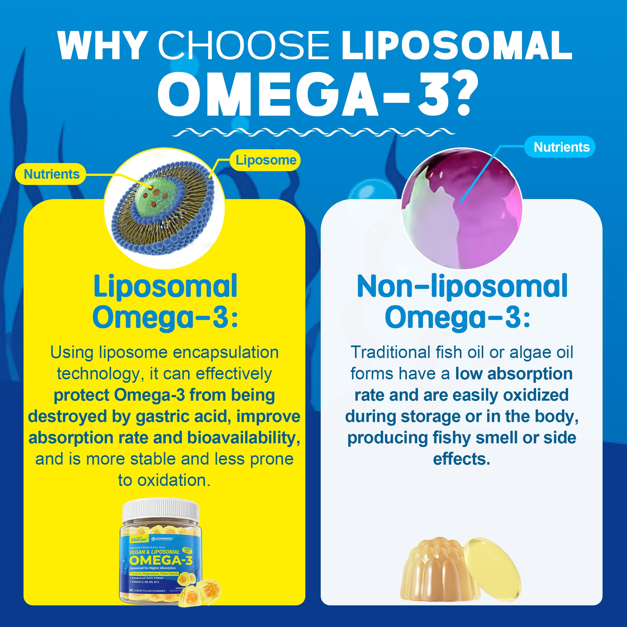 Gommes Oméga-3 EnvyCure, close-up des ingrédients, liposomes offrant meilleure absorption.