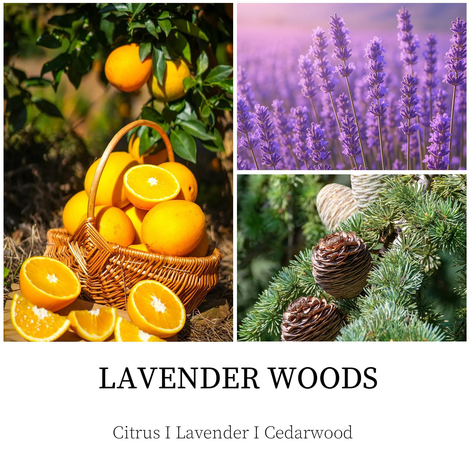 Bougie Enwhisco Lavande Bois – senteurs citrus, lavande et cèdre pour la détente.
