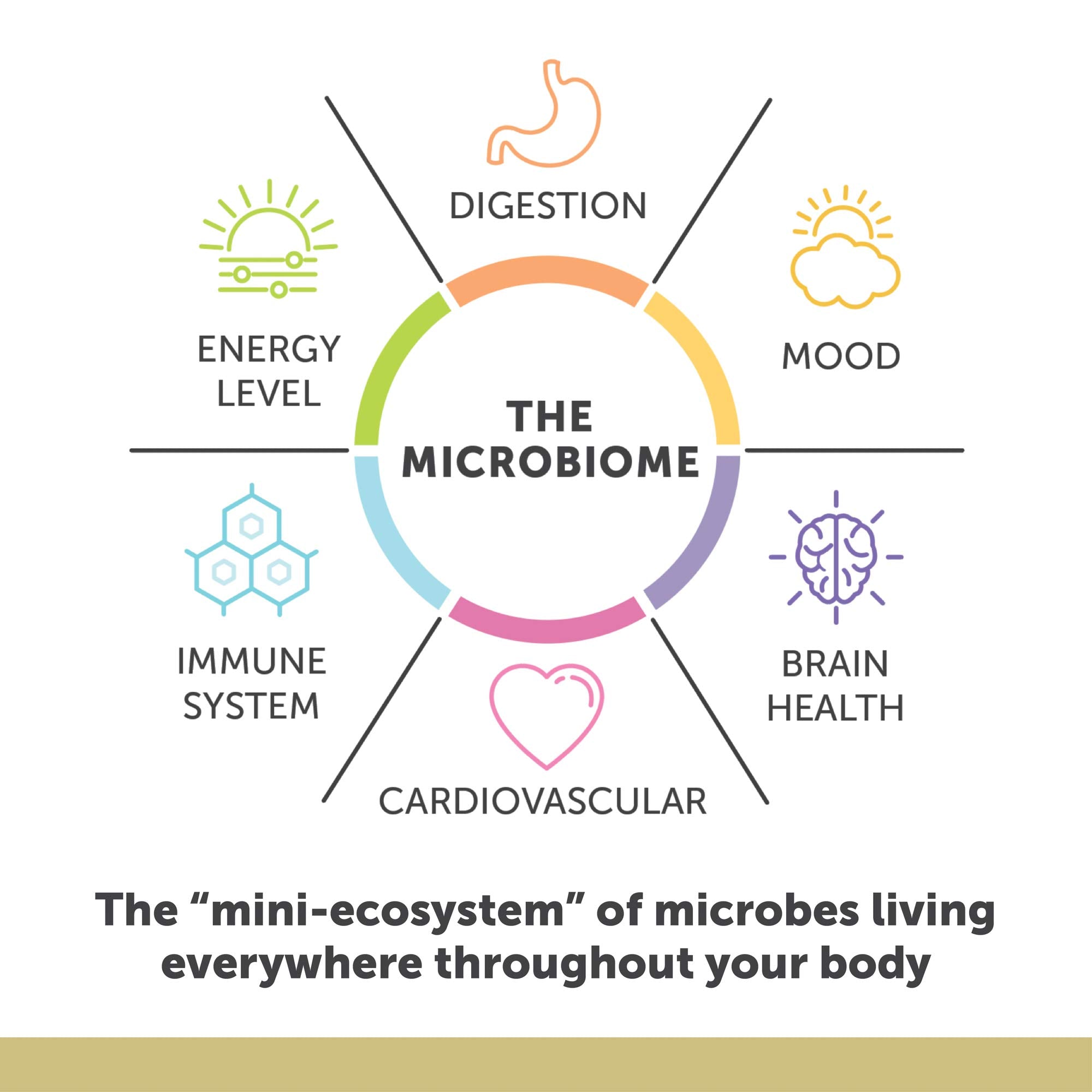 Enzymedica Aqua Biome Omega-3 certifiée sans gluten et sans allergènes.