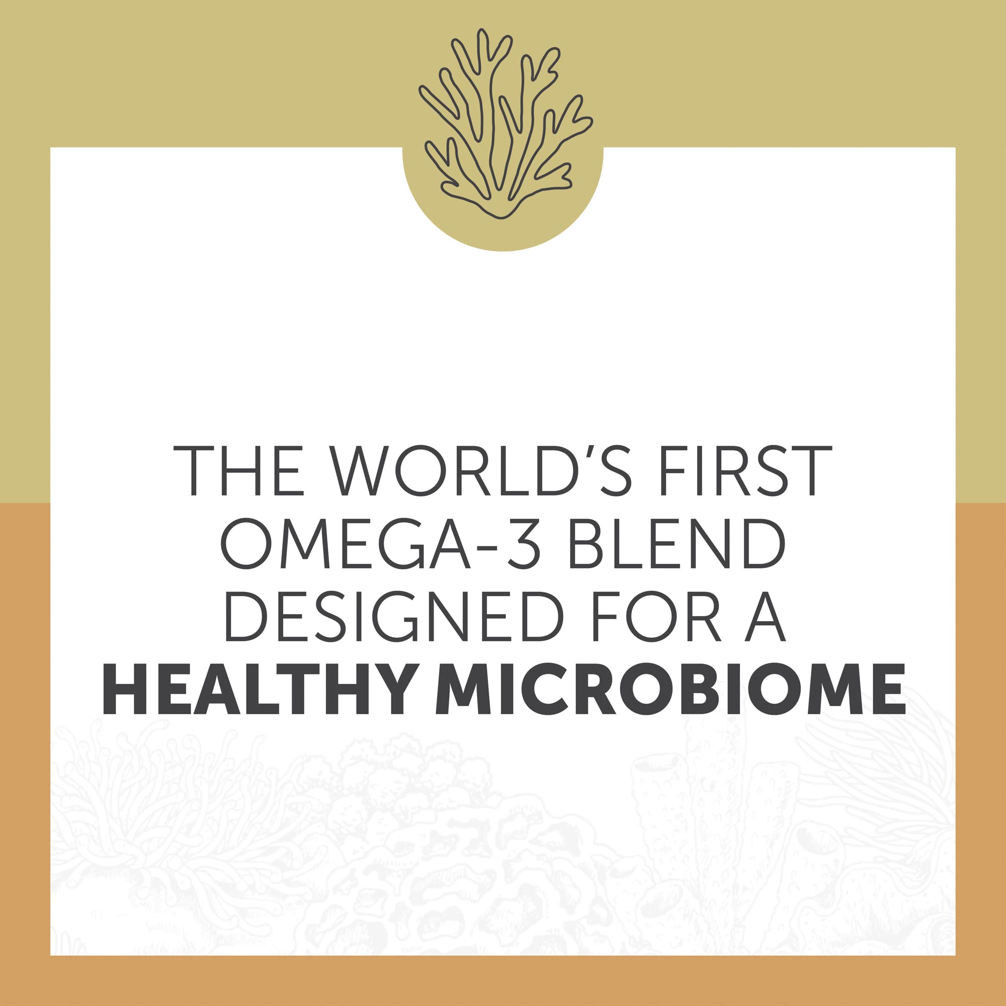 Enzymedica Aqua Biome Omega-3 étiquette propre, sans allergènes.