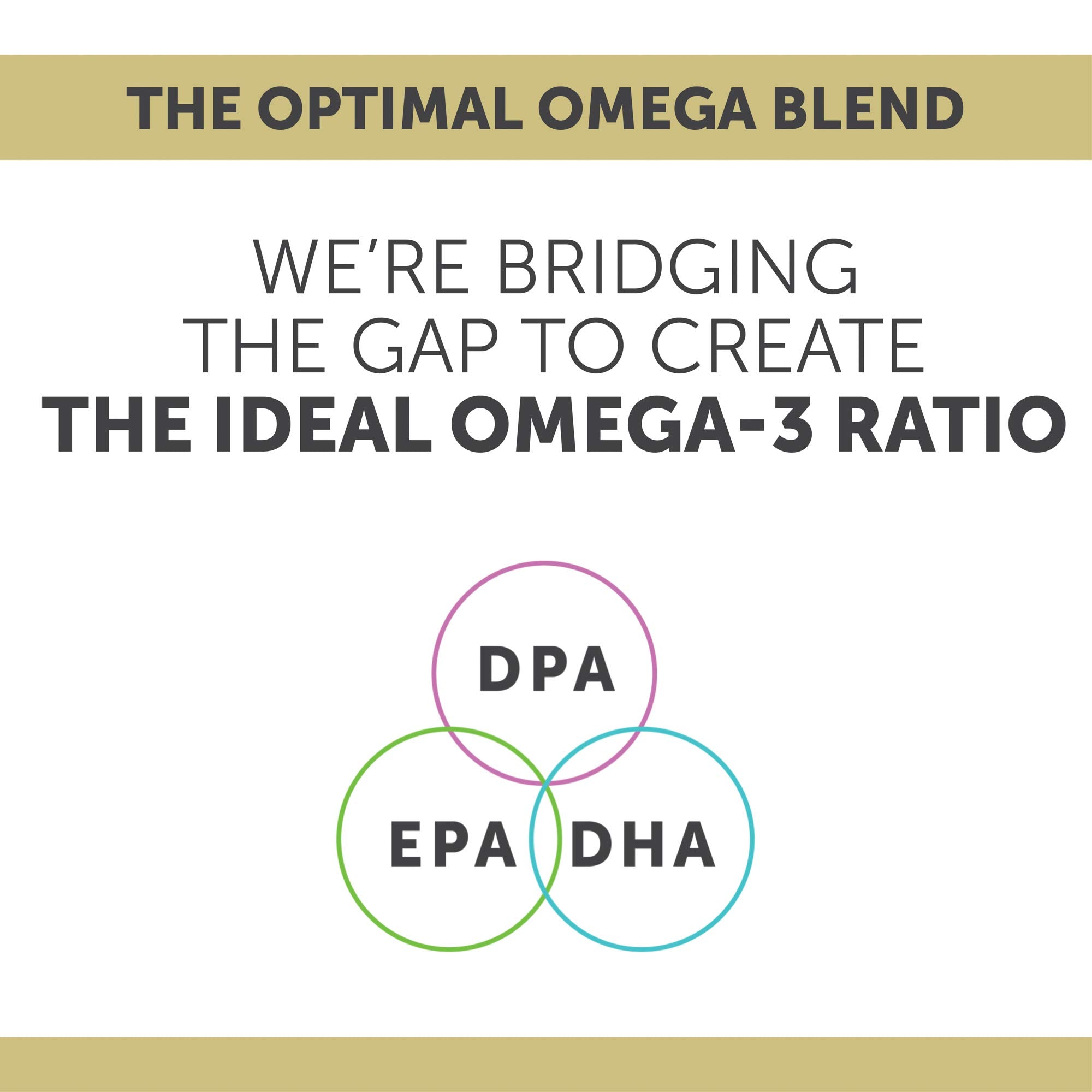 Enzymedica Aqua Biome Omega-3 pureté et sécurité sans allergènes.