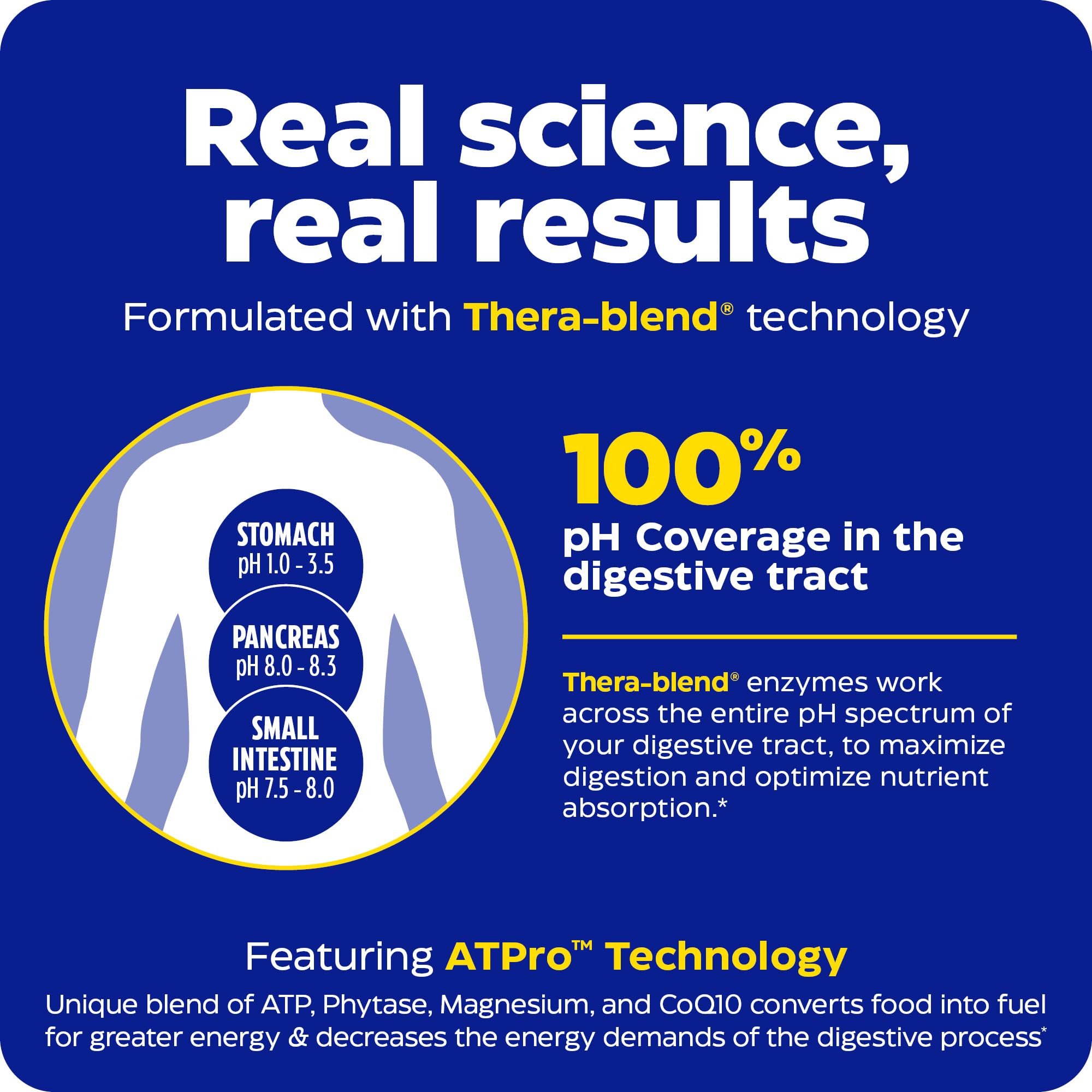 Enzymedica Digest Gold + ATPro: résultats potentiels pour une digestion plus fluide