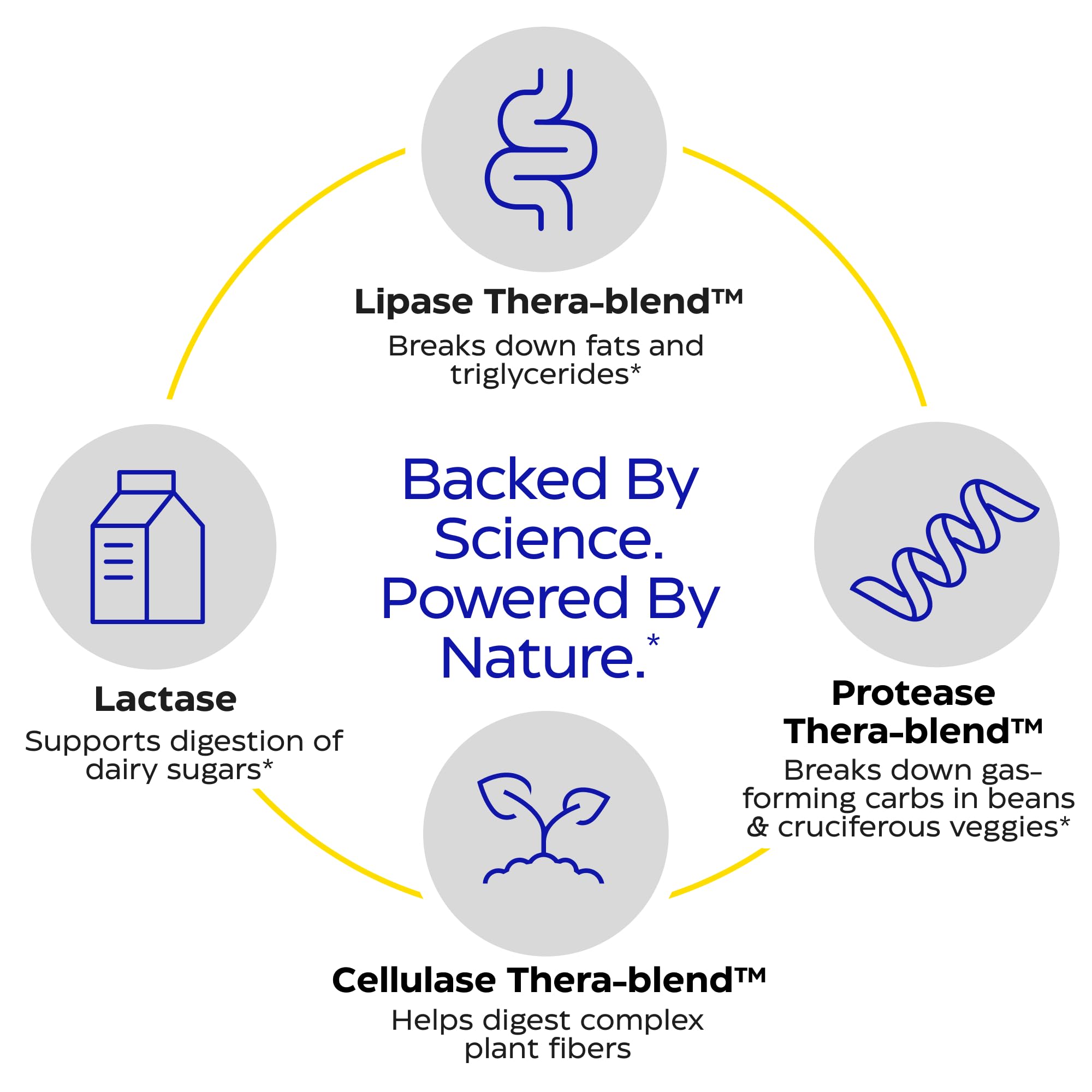 Digest Spectrum d'Enzymedica — enzymes ciblant gluten et lactose pour une meilleure digestion.