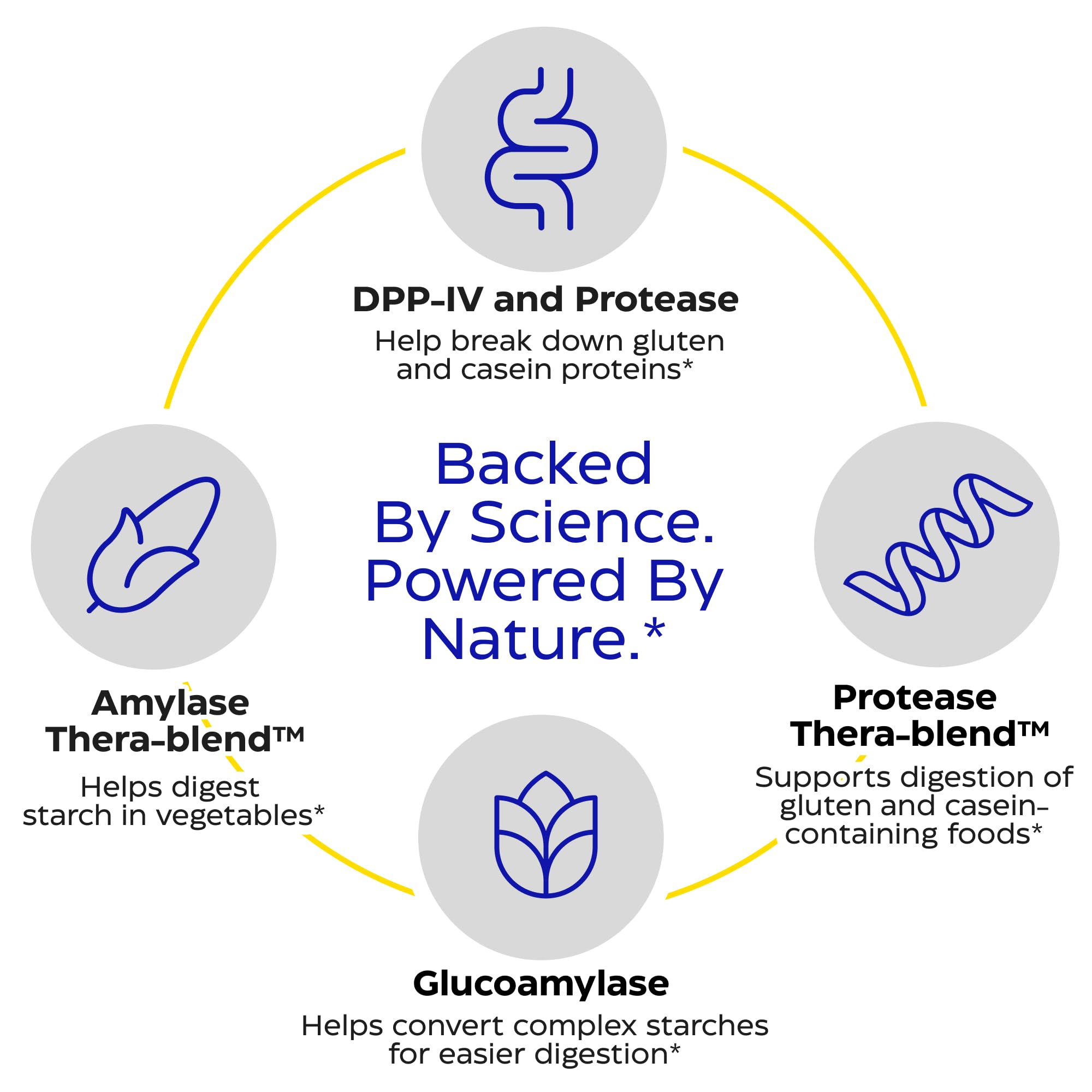 Enzymedica GlutenEase Extra Strength – DPP-IV, aide potentielle à la décomposition des protéines