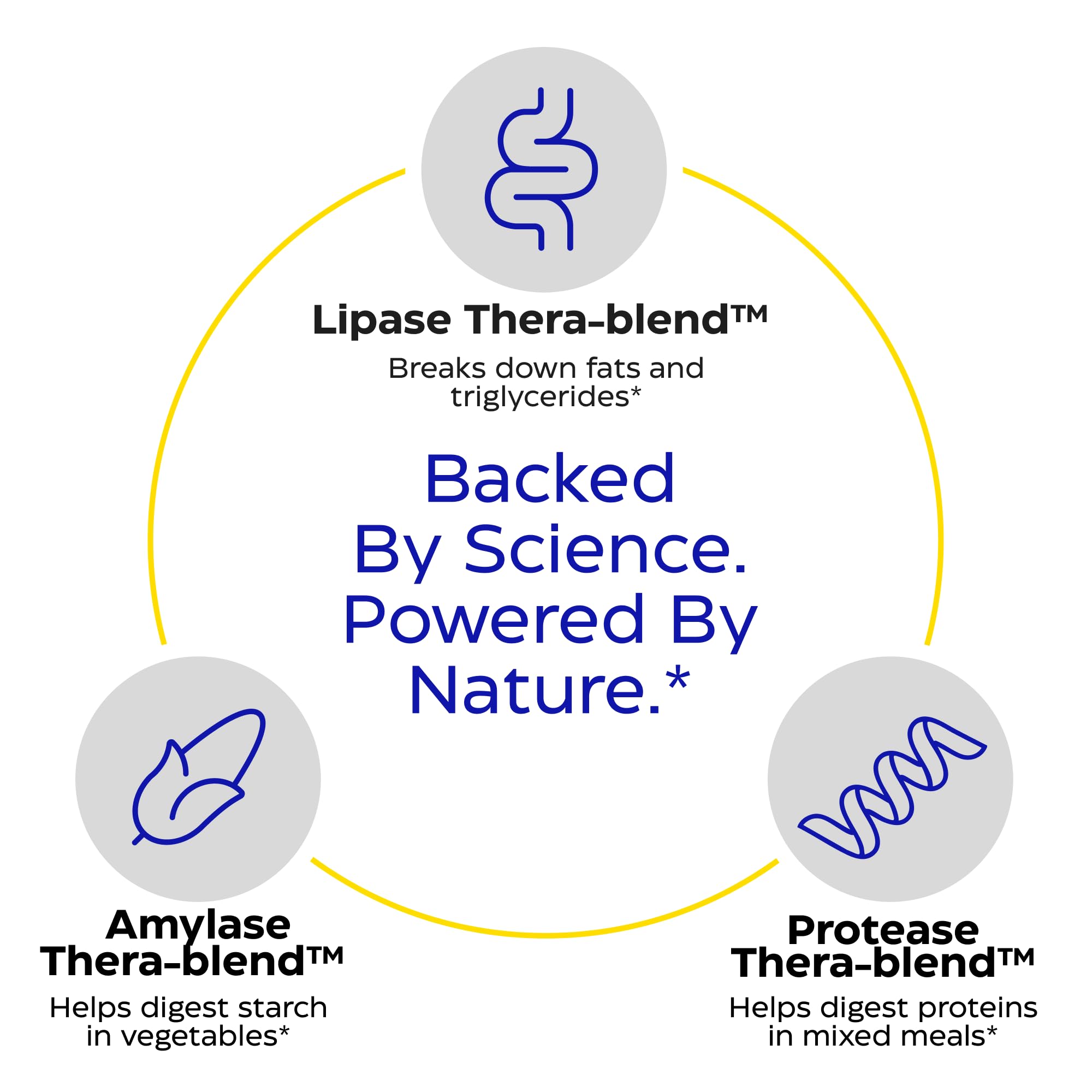 Enzymedica Lypo Gold – composition: lipase et amylase facilitant la digestion des aliments.