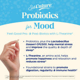 Enzymedica SubCulture Probiotiques, capsules près du lit, soutien potentiel du sommeil et du stress.
