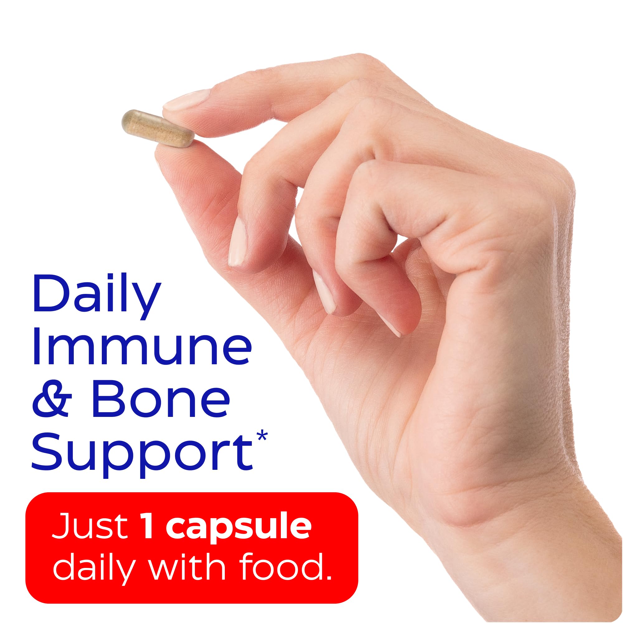 Champignons shiitake utilisés avec Enzymedica D3 K2.