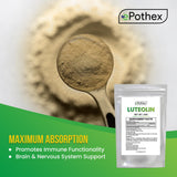 ePothex Poudre de luteolin favorise une absorption optimale