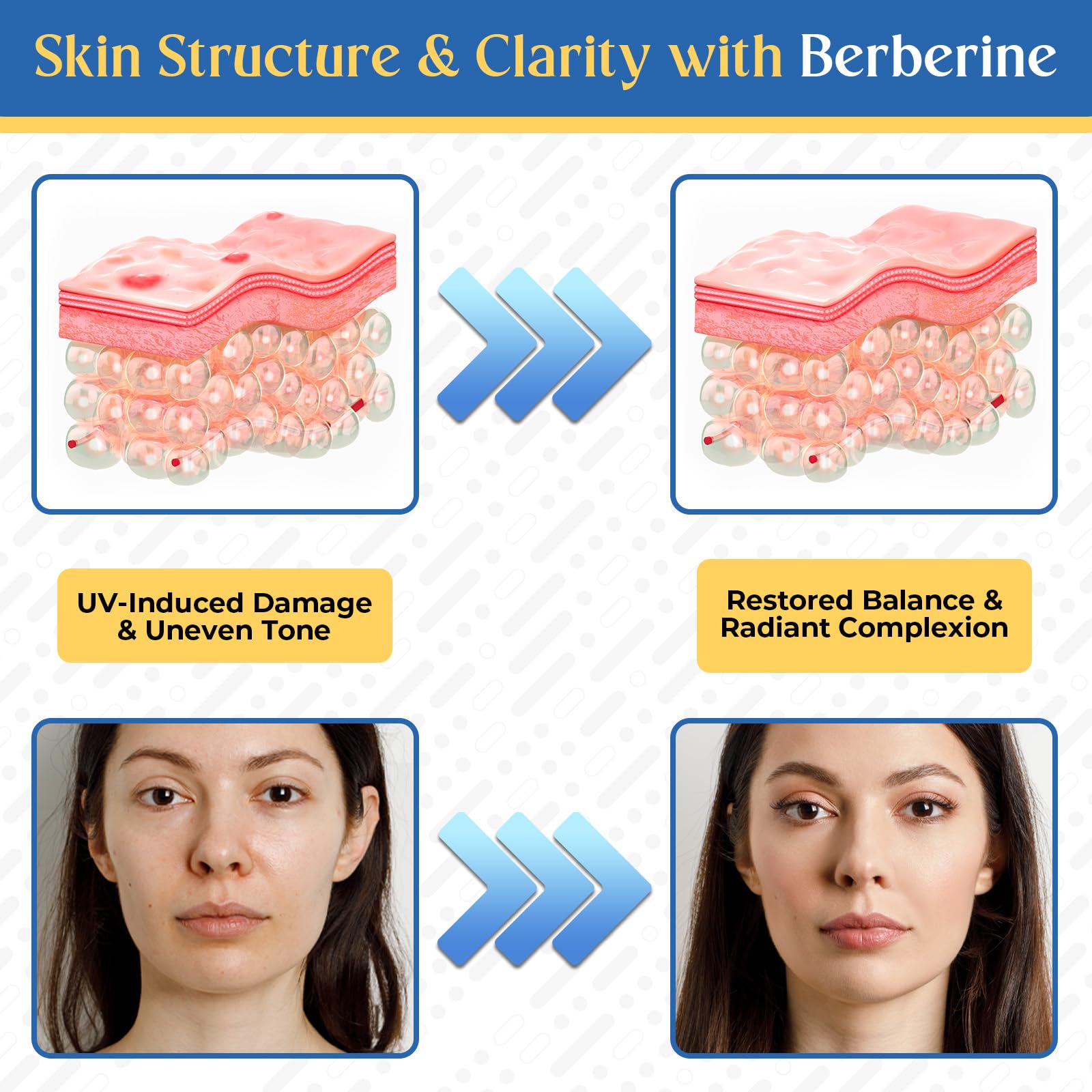 Eqeeken gommes GLP-1, ingredients clés berbérine et probiotiques bénéfiques.