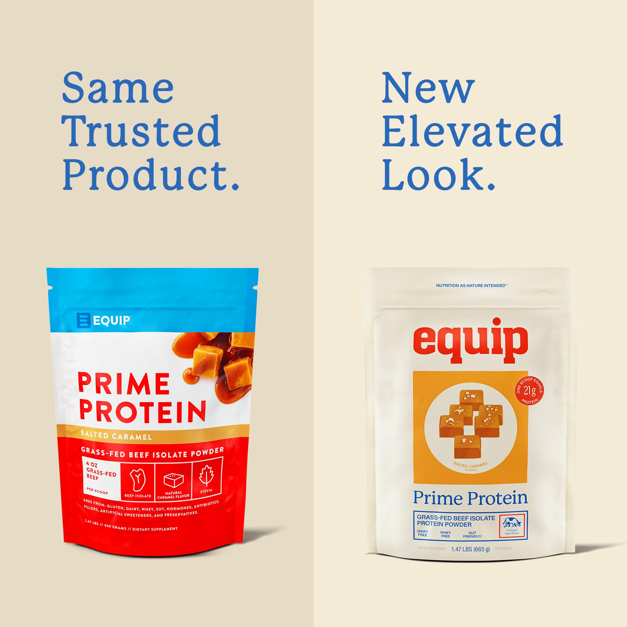 Equip Prime Protein flacon-poudre chocolat, poudre protéinée sans lactose ni gluten idéale pour smoothies