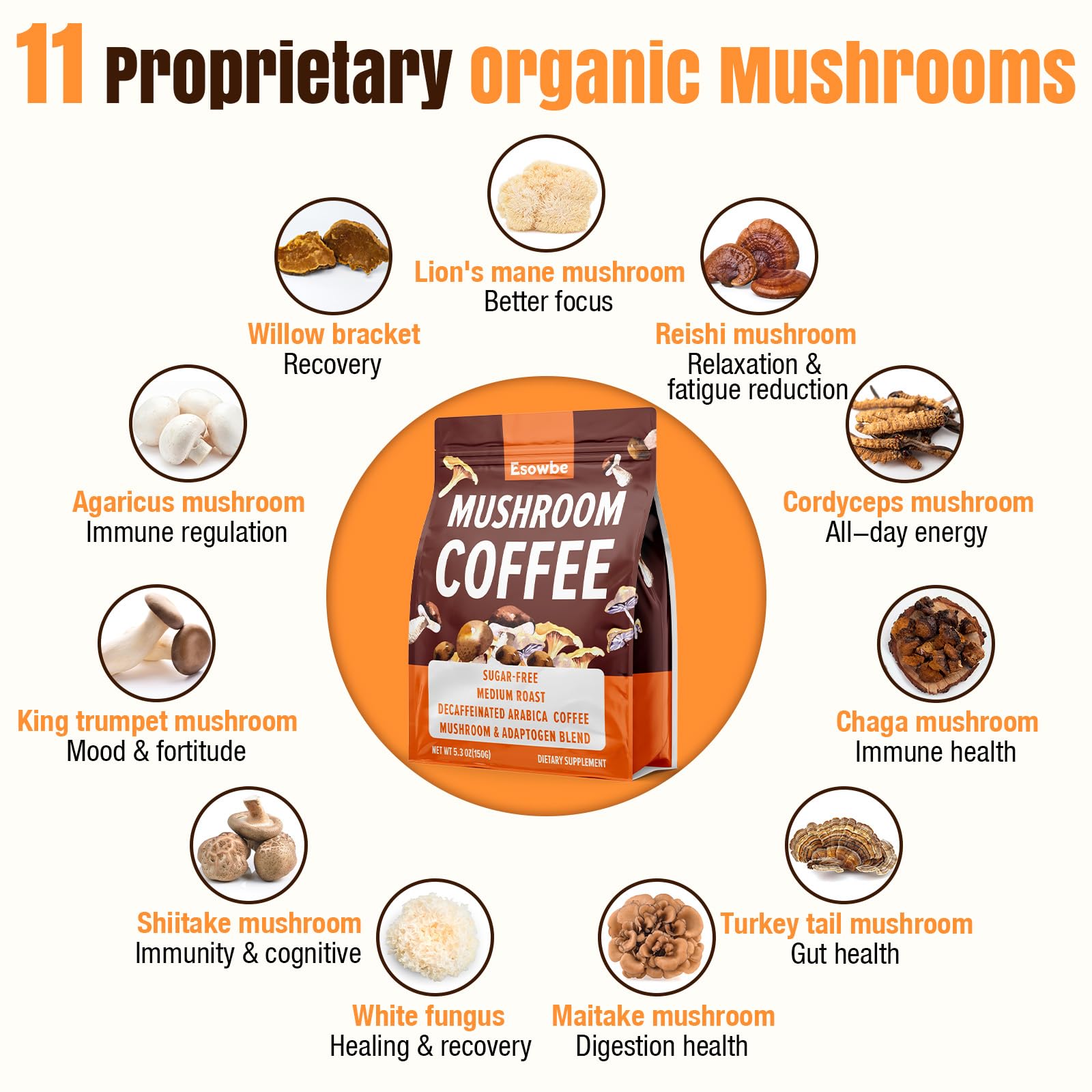 Esowbe Mushroom Coffee, tasse prête pour énergie et concentration