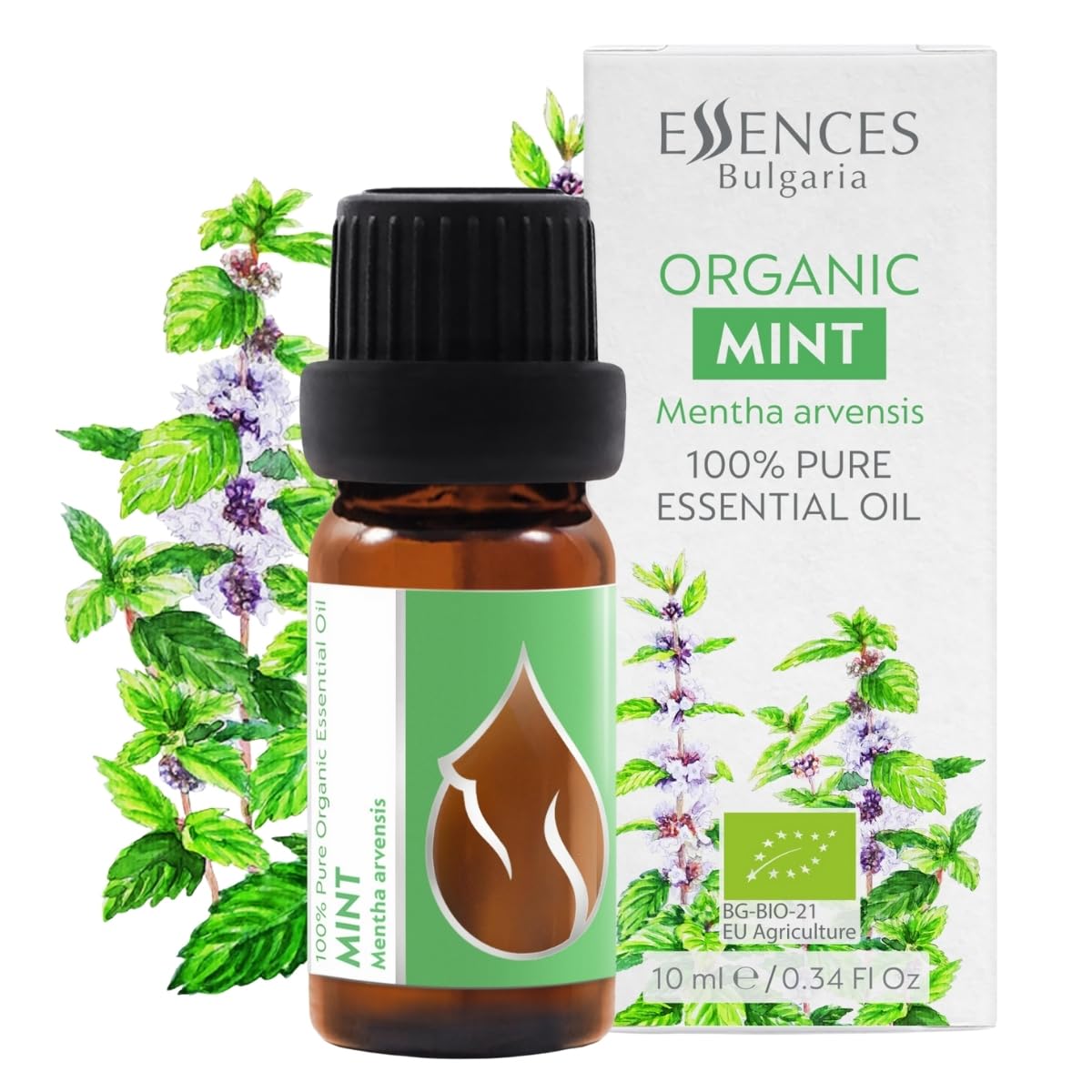 Essences Bulgaria huile Mentha arvensis en bouteille 10 ml pour diffusion aromatique.