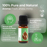 Essences Bulgaria diffuseur aromathérapie en action avec Mentha arvensis.