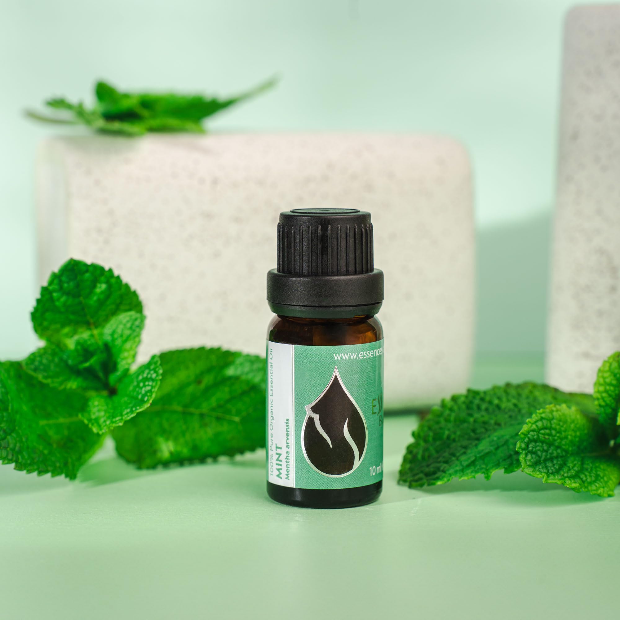 Essences Bulgaria étiquette BG-BIO-21 garantissant origine biologique.