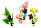 Essences Bulgaria huile essentielle biologique sauge sclarée présentée en flacon élégant.