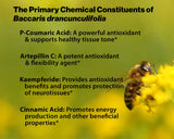 Essential Formulas Propolis Plus huile de lin, oméga-3 essentiels mis en avant.