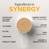 Gros plan sur les ingrédients curcuma, gingembre et myrtille d'Essential Nutrition Collagen Gut.