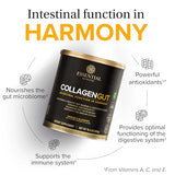 Collagen Gut d'Essential Nutrition - verre prêt à recevoir le mélange.