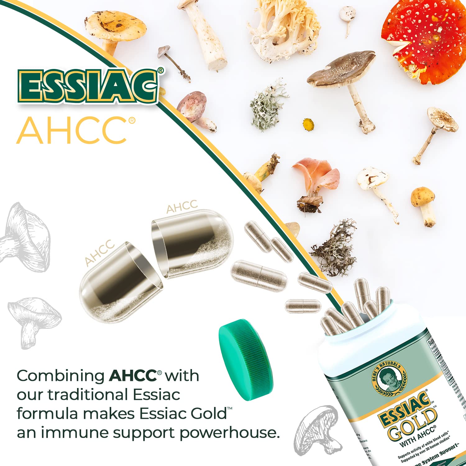 Conseils de stockage Essiac Gold AHCC — garder dans un endroit frais et sec.