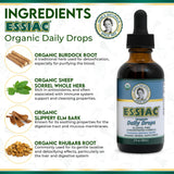 Gouttes Essiac – dosage simple pour une routine quotidienne.