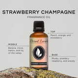 Capuchon noir et flacon Eternal Essence Oils Fraise-Champagne, dosage précis.