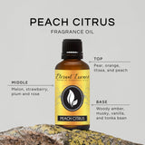 Eternal Essence Oils Pêche et Agrumes – diffuseur prêt à parfumer une pièce.